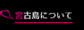沖縄・宮古島でリゾートバイト！ - 株式会社ブリス | 宮古島について